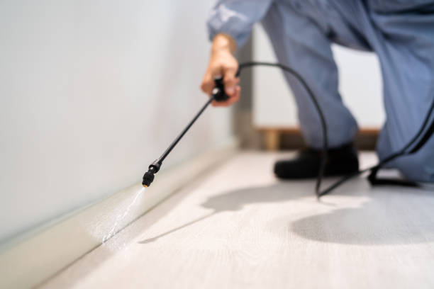 Professional exterminator conducting IPM assessment in Midland